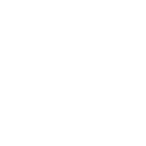 The Longsword